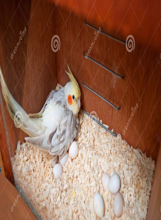 Birds' Park نشارة خشب عش الطائر المستوردة، مناسبة للطيور التي تضع البيض مثل طيور الحب، كما أنها مناسبة للهامستر. - Image 2